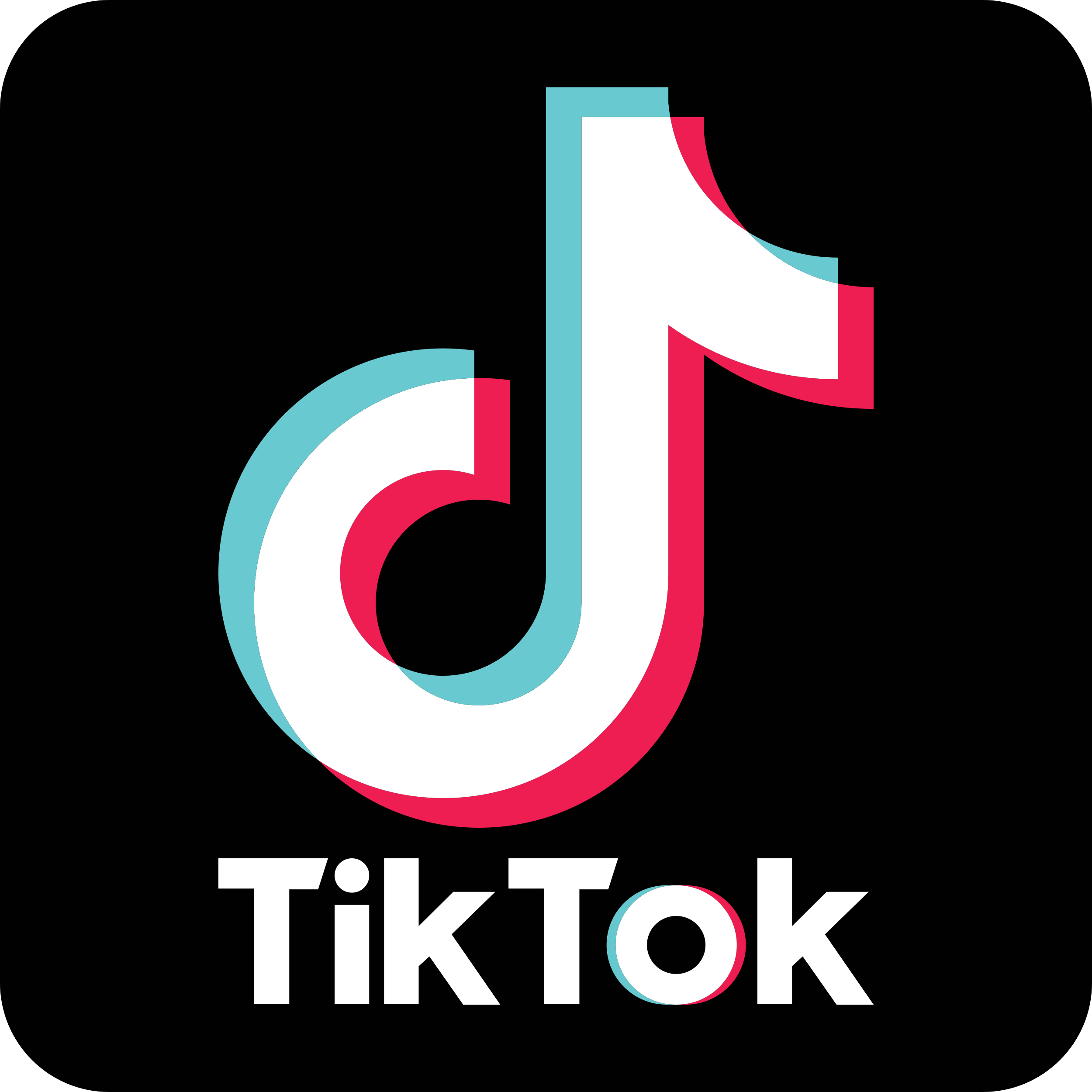 Seen on TikTok